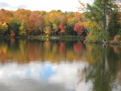 Bord de l'eau - 