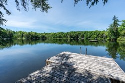 Bord de l'eau - 