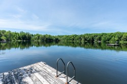 Bord de l'eau - 