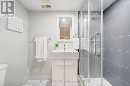 260 Sanatorium Road, Hamilton, ON - Indoor Photo Showing Bathroom