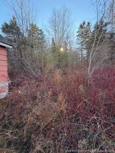 400 Flume Ridge Rd, Flume Ridge, NB 