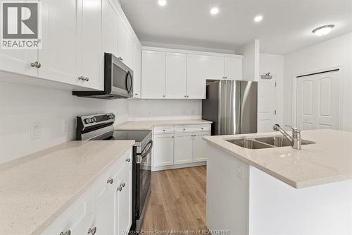 1888 Westview Park Boulevard Unit# 114, Lasalle, ON - Indoor Photo Showing Kitchen With Double Sink With Upgraded Kitchen