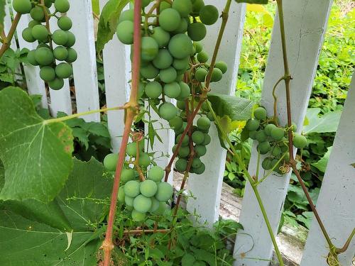 52 Regal Road, Dartmouth, NS 