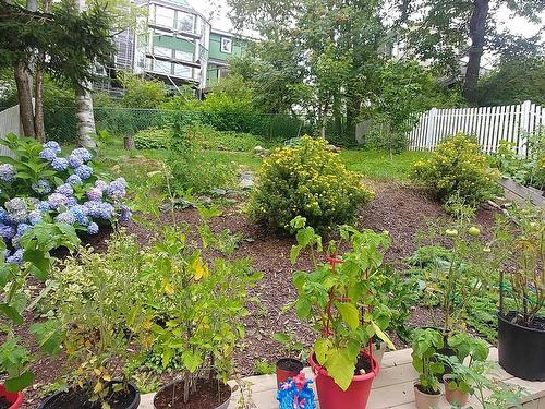 52 Regal Road, Dartmouth, NS 