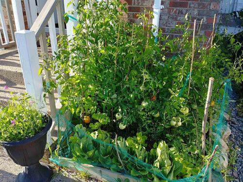 52 Regal Road, Dartmouth, NS 