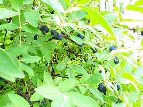 52 Regal Road, Dartmouth, NS 