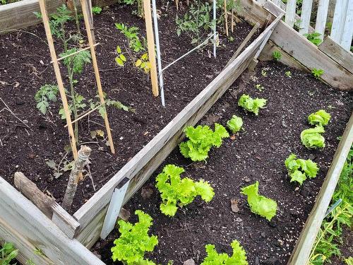 52 Regal Road, Dartmouth, NS 