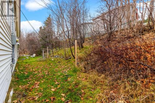 33 Wicklow Street  St. John's, NL A1B 3H4