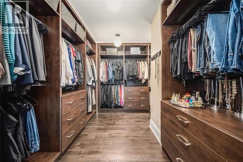 6186 Silver Maple, Lasalle, ON - Indoor With Storage