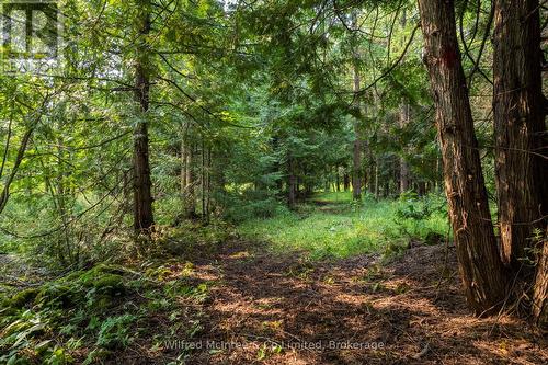 574461 Sideroad 40, West Grey, ON 