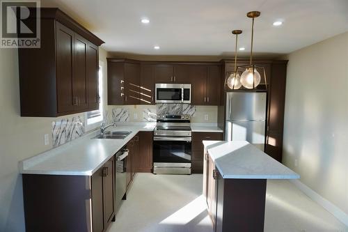 57 Tigress Street, St. John'S, NL - Indoor Photo Showing Kitchen With Double Sink