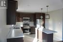 57 Tigress Street, St. John'S, NL  - Indoor Photo Showing Kitchen With Double Sink 
