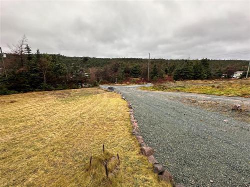 59 Barry'S  Island North Road, Avondale, NL 