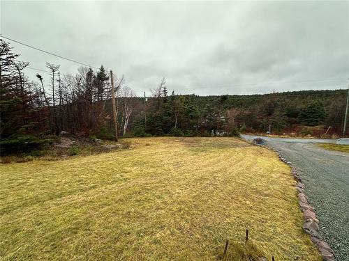 59 Barry'S  Island North Road, Avondale, NL 