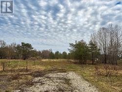 9829 10 COUNTY ROAD Clearview, ON L0M 1N0