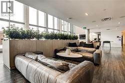 Living room with dark wood-type flooring and plenty of natural light - 