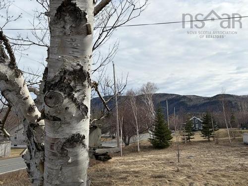 16364 Cabot Trail, La Prairie, NS 