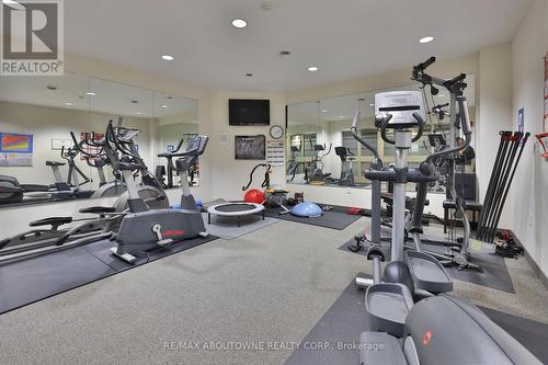509 - 1980 Imperial Way, Burlington, ON - Indoor Photo Showing Gym Room