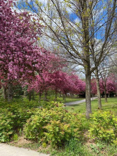 À proximité - 662 Rue De La Métairie, Montréal (Verdun/Île-Des-Soeurs), QC - Outdoor