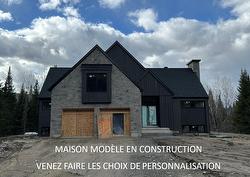 1116 Ch. du Massif  Piedmont, QC J0R 1K0