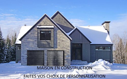 Extérieur - 1116 Ch. Du Massif, Piedmont, QC - Outdoor