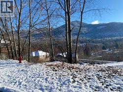 933 7th Street  Montrose, BC V0G 1P0