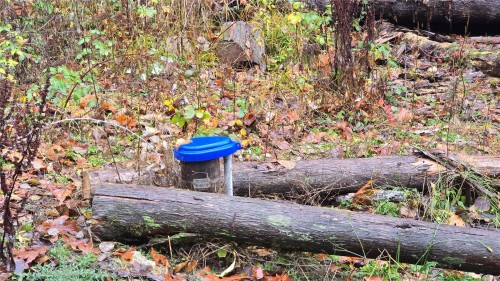 Lot 6 Cowichan Lake Rd, Lake Cowichan, BC 