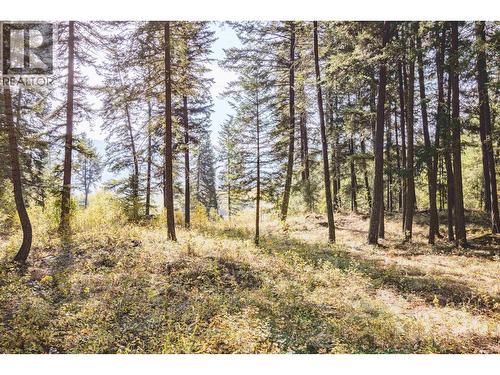 Lot 3 Rainbow Drive, Canim Lake, BC 