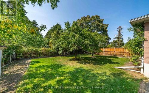 308 Sentinel Road, Toronto, ON - Outdoor With Backyard