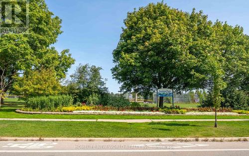 308 Sentinel Road, Toronto, ON - Outdoor With View