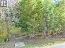 Lot 2 Rainbow Drive, Canim Lake, BC 