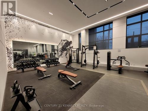 Th2 - 60 George Butchart Drive, Toronto, ON - Indoor Photo Showing Gym Room