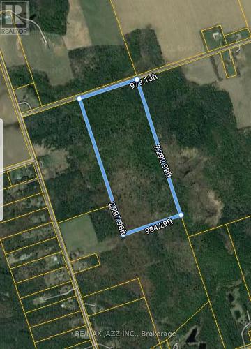 0 Ballyduff Road, Kawartha Lakes (Manvers), ON 