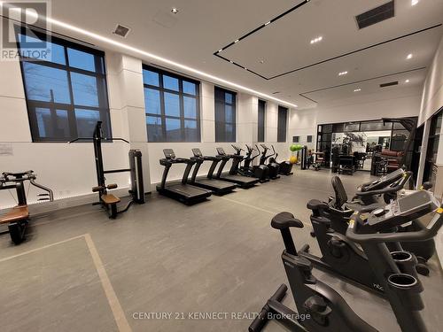 Th2 - 60 George Butchart Drive, Toronto, ON - Indoor Photo Showing Gym Room