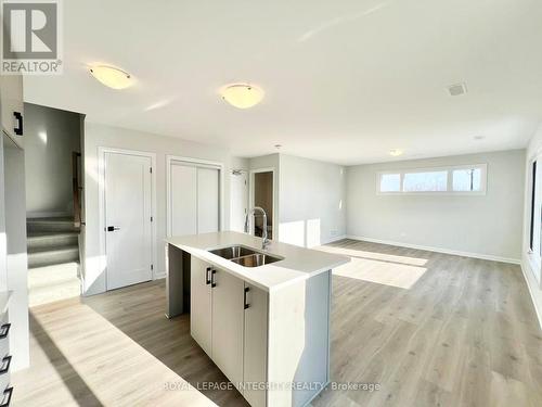 1118 Creekway Private, Ottawa, ON - Indoor Photo Showing Kitchen With Double Sink