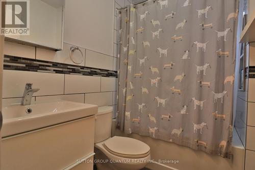 Main - 803 Lansdowne Avenue, Toronto, ON - Indoor Photo Showing Bathroom