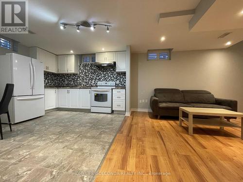 Lower Level - 233 Aspenwood Drive, Newmarket, ON - Indoor