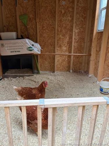 720 Boyd Rd, Elmsville, NB 