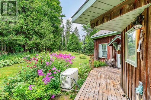 355276 The Blue Mountains Euphrasia Townline, Blue Mountains, ON - Outdoor With Deck Patio Veranda