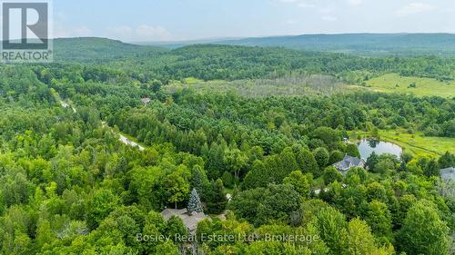 355276 The Blue Mountains Euphrasia Townline, Blue Mountains, ON - Outdoor With View