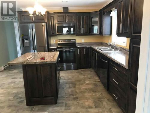 17 Hope Street, Happy Valley- Goose Bay, NL - Indoor Photo Showing Kitchen With Double Sink