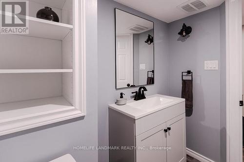 106 Odonnel Drive, Hamilton, ON - Indoor Photo Showing Bathroom