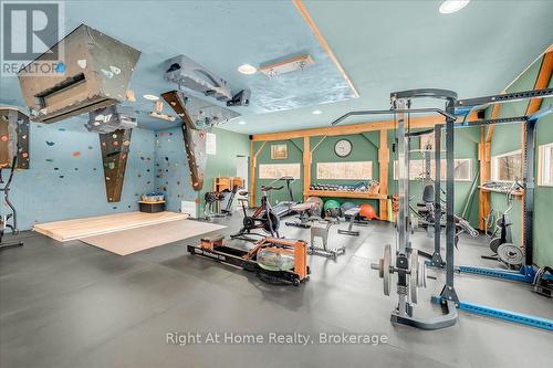 9658 Second Line, Milton, ON - Indoor Photo Showing Gym Room