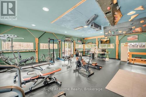 9658 Second Line, Milton, ON - Indoor Photo Showing Gym Room