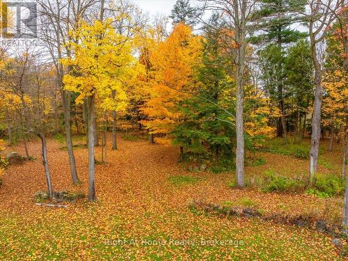 9658 Second Line, Milton, ON - Outdoor With View