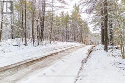 265 ADDINGTON ROAD 4  Frontenac (Frontenac North), ON K0H 1K0