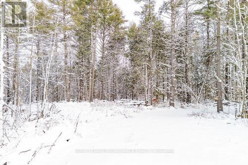 265 Addington Road 4, Frontenac (Frontenac North), ON 