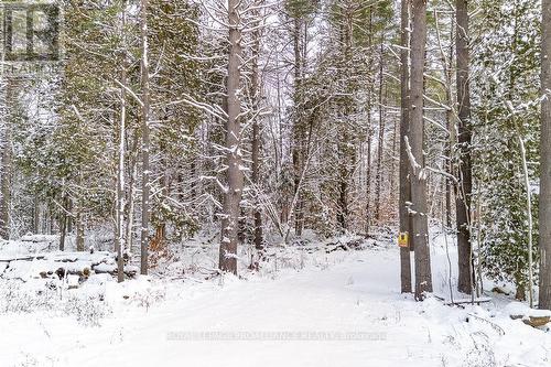 265 Addington Road 4, Frontenac (Frontenac North), ON 