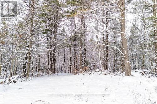 265 Addington Road 4, Frontenac (Frontenac North), ON 