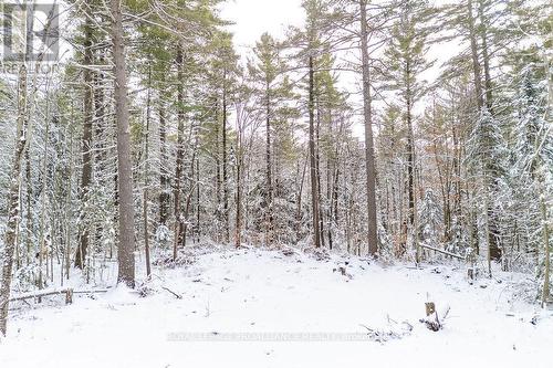 265 Addington Road 4, Frontenac (Frontenac North), ON 